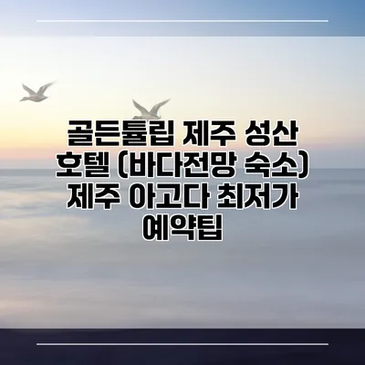 골든튤립 제주 성산 호텔 (바다전망 숙소) 제주 아고다 최저가 예약팁