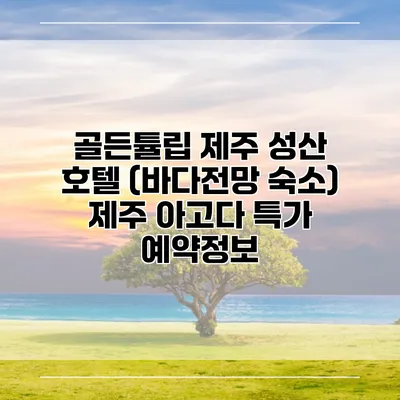 골든튤립 제주 성산 호텔 (바다전망 숙소) 제주 아고다 특가 예약정보