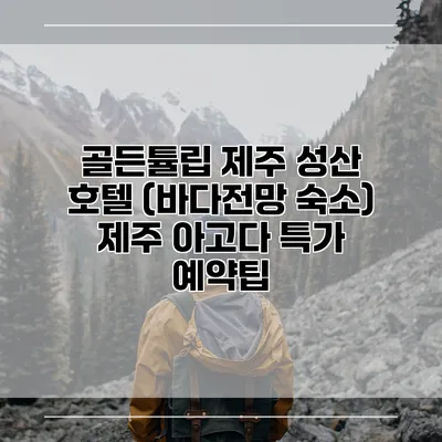 골든튤립 제주 성산 호텔 (바다전망 숙소) 제주 아고다 특가 예약팁