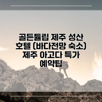 골든튤립 제주 성산 호텔 (바다전망 숙소) 제주 아고다 특가 예약팁