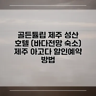 골든튤립 제주 성산 호텔 (바다전망 숙소) 제주 아고다 할인예약 방법