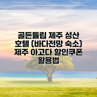 골든튤립 제주 성산 호텔 (바다전망 숙소) 제주 아고다 할인쿠폰 활용법