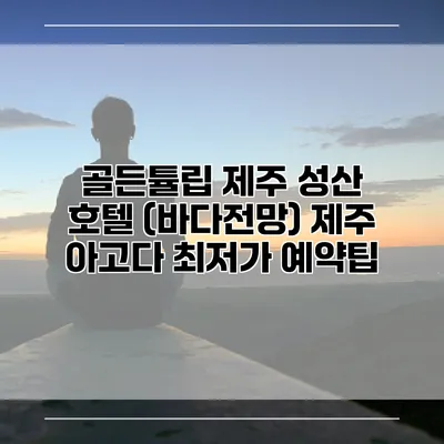 골든튤립 제주 성산 호텔 (바다전망) 제주 아고다 최저가 예약팁