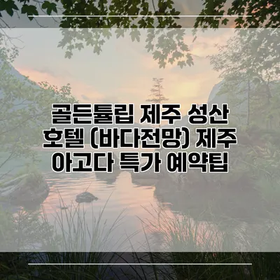 골든튤립 제주 성산 호텔 (바다전망) 제주 아고다 특가 예약팁