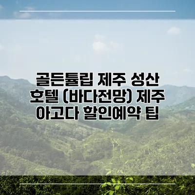골든튤립 제주 성산 호텔 (바다전망) 제주 아고다 할인예약 팁