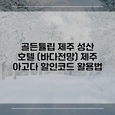 골든튤립 제주 성산 호텔 (바다전망) 제주 아고다 할인코드 활용법