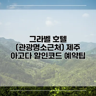 그라벨 호텔 (관광명소근처) 제주 아고다 할인코드 예약팁