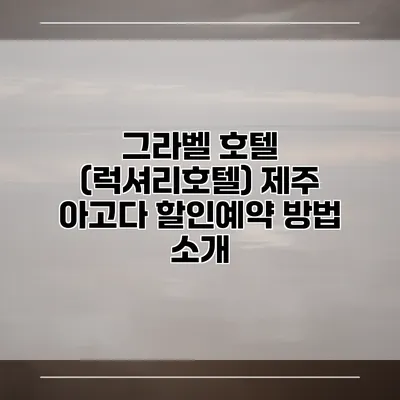 그라벨 호텔 (럭셔리호텔) 제주 아고다 할인예약 방법 소개