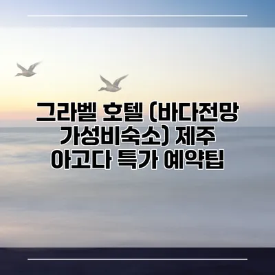 그라벨 호텔 (바다전망 가성비숙소) 제주 아고다 특가 예약팁