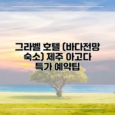 그라벨 호텔 (바다전망 숙소) 제주 아고다 특가 예약팁