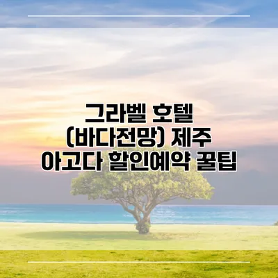 그라벨 호텔 (바다전망) 제주 아고다 할인예약 꿀팁