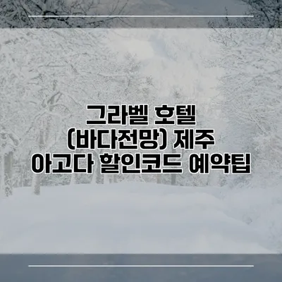 그라벨 호텔 (바다전망) 제주 아고다 할인코드 예약팁