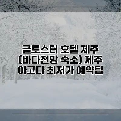 글로스터 호텔 제주 (바다전망 숙소) 제주 아고다 최저가 예약팁