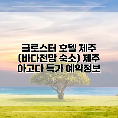 글로스터 호텔 제주 (바다전망 숙소) 제주 아고다 특가 예약정보