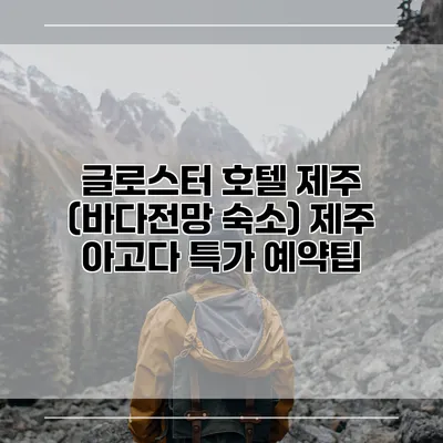 글로스터 호텔 제주 (바다전망 숙소) 제주 아고다 특가 예약팁