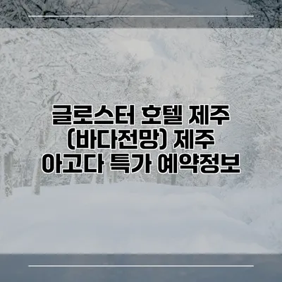 글로스터 호텔 제주 (바다전망) 제주 아고다 특가 예약정보