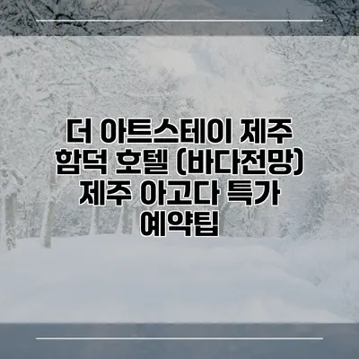더 아트스테이 제주 함덕 호텔 (바다전망) 제주 아고다 특가 예약팁
