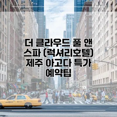 더 클라우드 풀 앤 스파 (럭셔리호텔) 제주 아고다 특가 예약팁