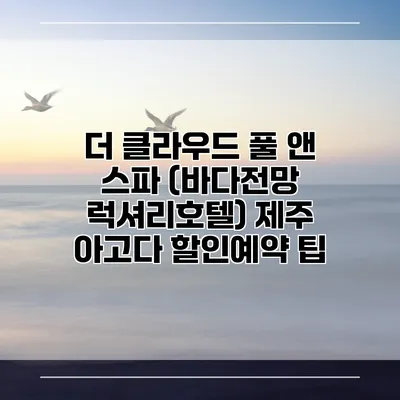 더 클라우드 풀 앤 스파 (바다전망 럭셔리호텔) 제주 아고다 할인예약 팁