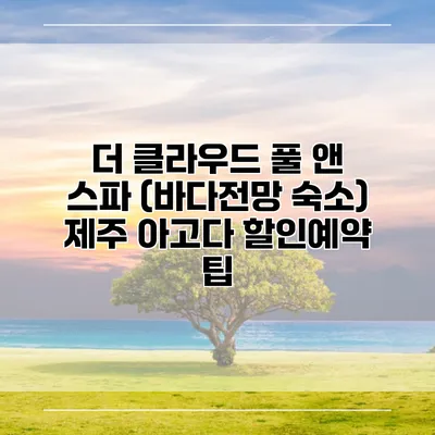 더 클라우드 풀 앤 스파 (바다전망 숙소) 제주 아고다 할인예약 팁
