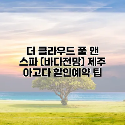 더 클라우드 풀 앤 스파 (바다전망) 제주 아고다 할인예약 팁