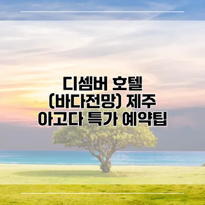 디셈버 호텔 (바다전망) 제주 아고다 특가 예약팁