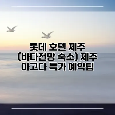 롯데 호텔 제주 (바다전망 숙소) 제주 아고다 특가 예약팁