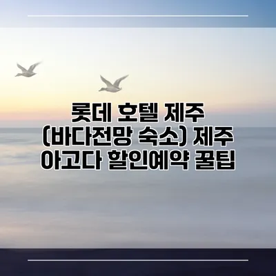 롯데 호텔 제주 (바다전망 숙소) 제주 아고다 할인예약 꿀팁
