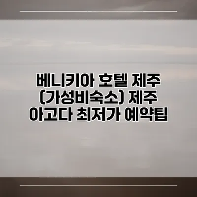 베니키아 호텔 제주 (가성비숙소) 제주 아고다 최저가 예약팁