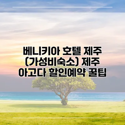 베니키아 호텔 제주 (가성비숙소) 제주 아고다 할인예약 꿀팁