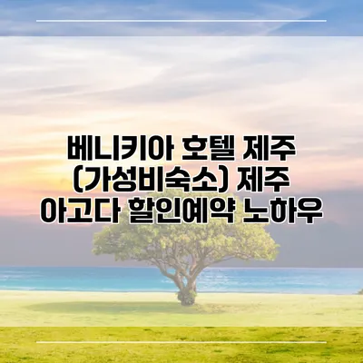 베니키아 호텔 제주 (가성비숙소) 제주 아고다 할인예약 노하우