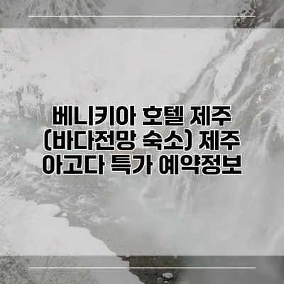 베니키아 호텔 제주 (바다전망 숙소) 제주 아고다 특가 예약정보
