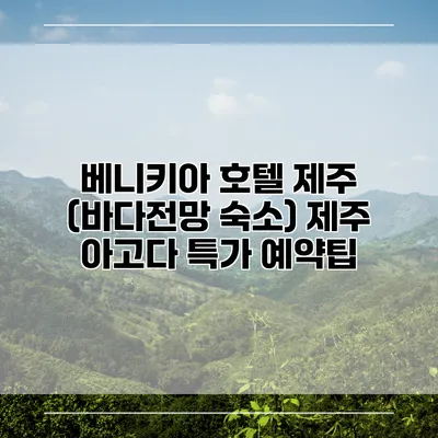 베니키아 호텔 제주 (바다전망 숙소) 제주 아고다 특가 예약팁