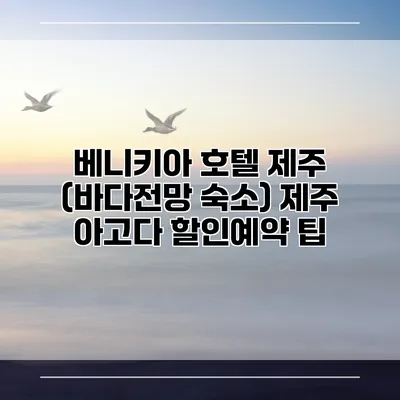 베니키아 호텔 제주 (바다전망 숙소) 제주 아고다 할인예약 팁