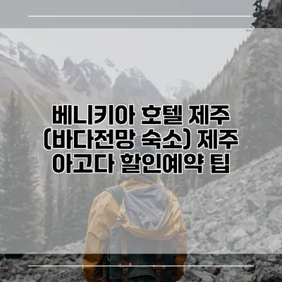 베니키아 호텔 제주 (바다전망 숙소) 제주 아고다 할인예약 팁