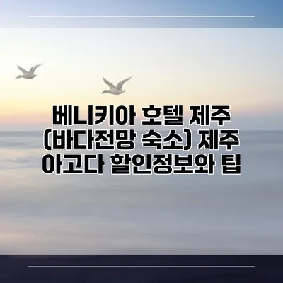 베니키아 호텔 제주 (바다전망 숙소) 제주 아고다 할인정보와 팁