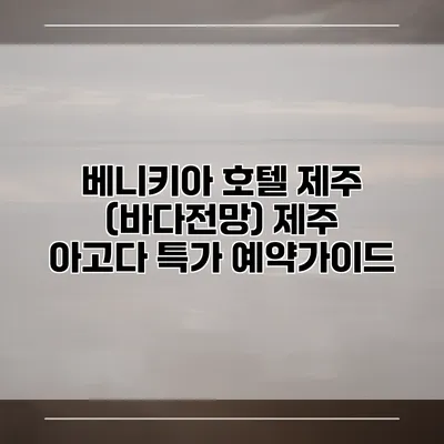 베니키아 호텔 제주 (바다전망) 제주 아고다 특가 예약가이드