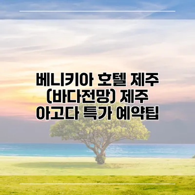 베니키아 호텔 제주 (바다전망) 제주 아고다 특가 예약팁