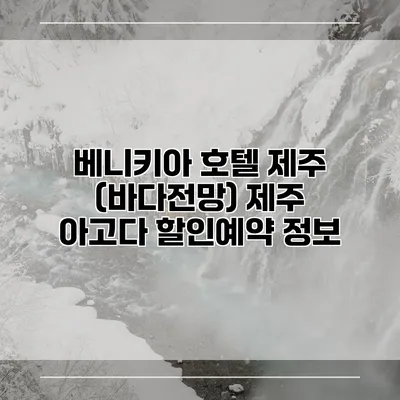 베니키아 호텔 제주 (바다전망) 제주 아고다 할인예약 정보