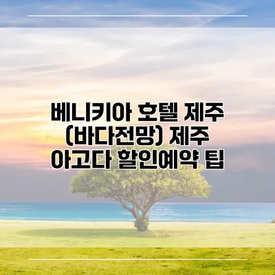 베니키아 호텔 제주 (바다전망) 제주 아고다 할인예약 팁