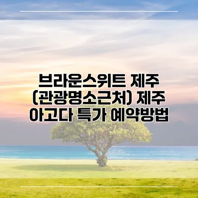 브라운스위트 제주 (관광명소근처) 제주 아고다 특가 예약방법
