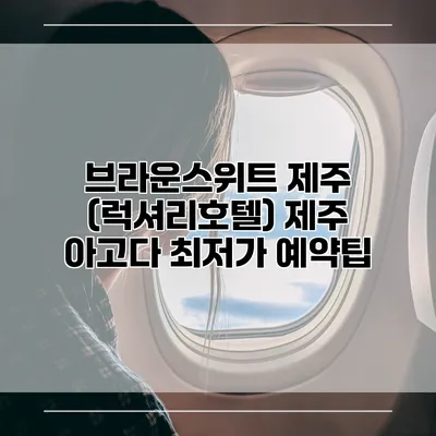 브라운스위트 제주 (럭셔리호텔) 제주 아고다 최저가 예약팁