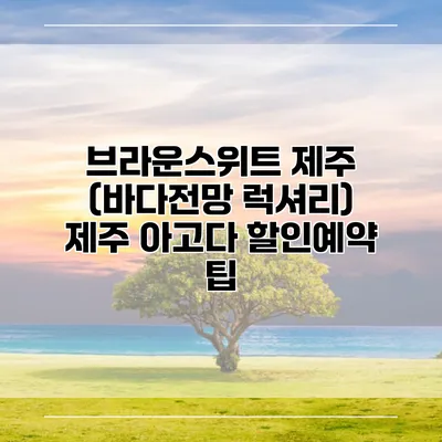 브라운스위트 제주 (바다전망 럭셔리) 제주 아고다 할인예약 팁