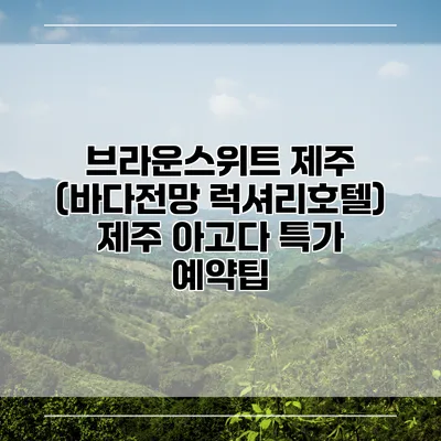 브라운스위트 제주 (바다전망 럭셔리호텔) 제주 아고다 특가 예약팁