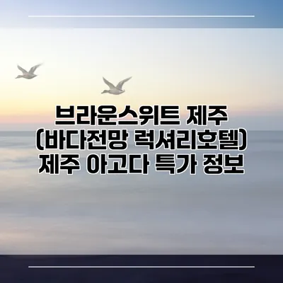 브라운스위트 제주 (바다전망 럭셔리호텔) 제주 아고다 특가 정보