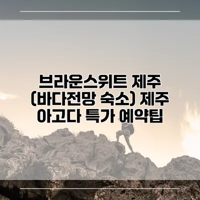 브라운스위트 제주 (바다전망 숙소) 제주 아고다 특가 예약팁