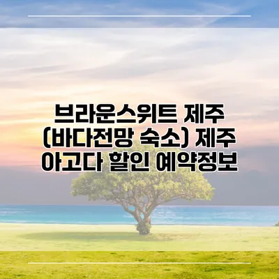 브라운스위트 제주 (바다전망 숙소) 제주 아고다 할인 예약정보
