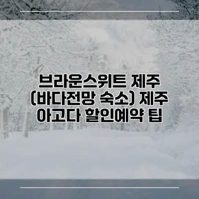 브라운스위트 제주 (바다전망 숙소) 제주 아고다 할인예약 팁