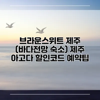 브라운스위트 제주 (바다전망 숙소) 제주 아고다 할인코드 예약팁