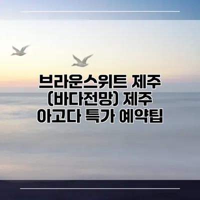 브라운스위트 제주 (바다전망) 제주 아고다 특가 예약팁